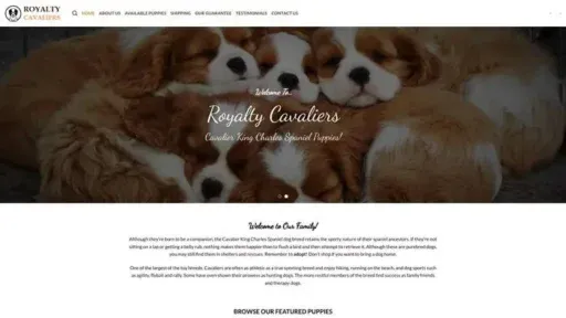 Screenshot of