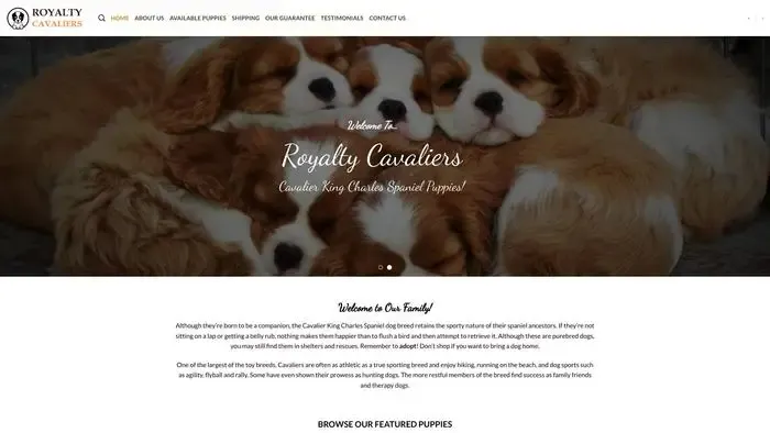 Screenshot of
