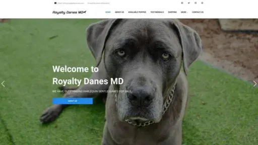 Screenshot of