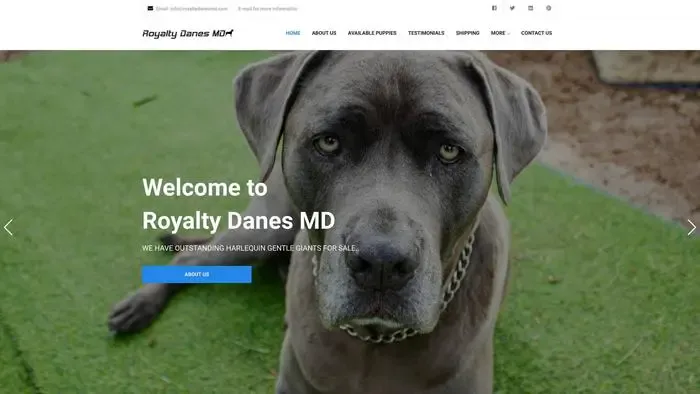 Screenshot of