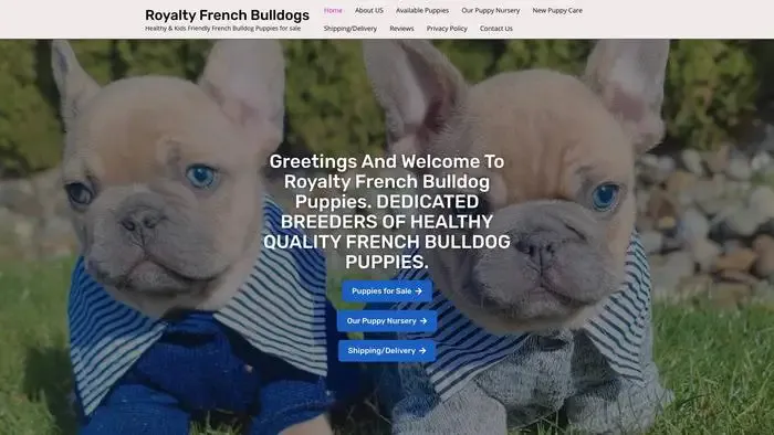 Screenshot of