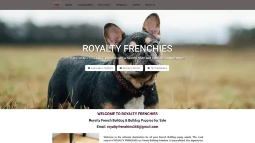 Screenshot of