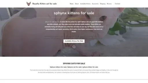 Screenshot of