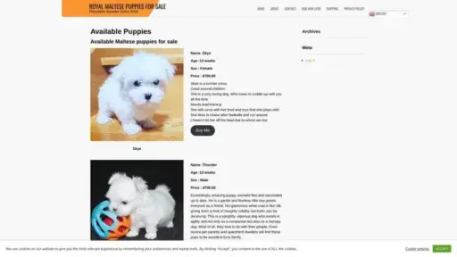 Screenshot of