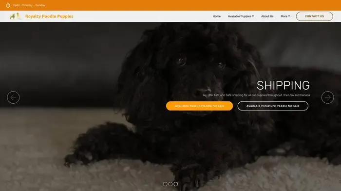 Screenshot of