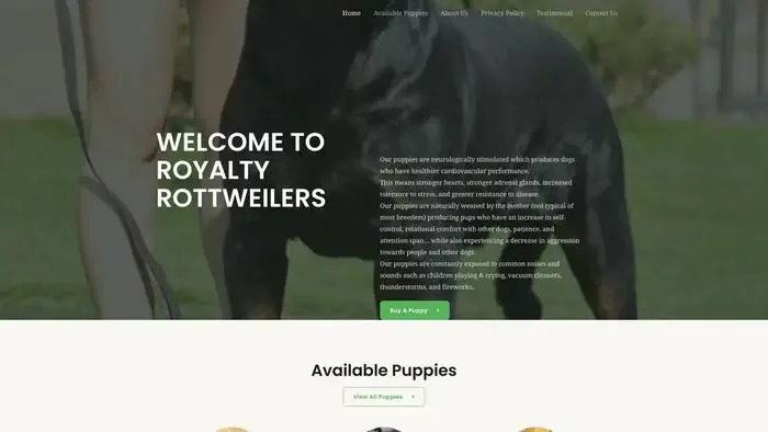 Screenshot of