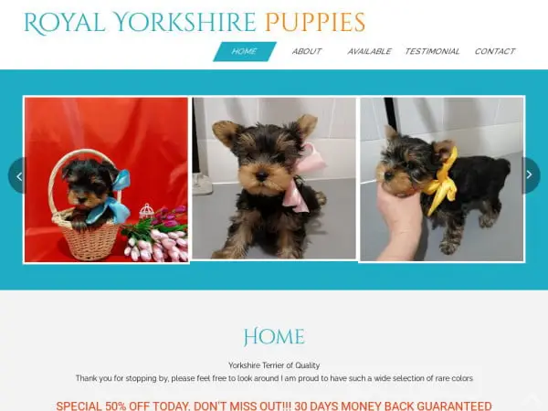 Screenshot of