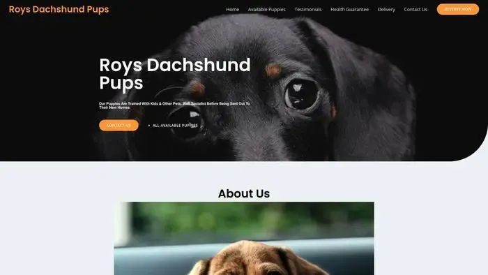 Screenshot of