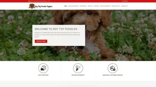 Screenshot of||