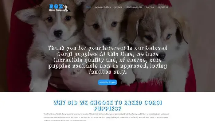 Screenshot of