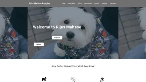 Screenshot of