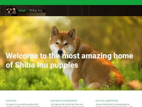 Screenshot of