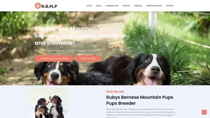 Screenshot of