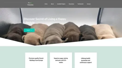 Screenshot of