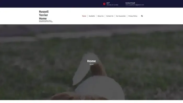 Screenshot of