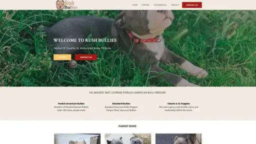 Screenshot of