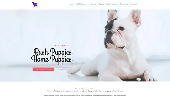 Screenshot of