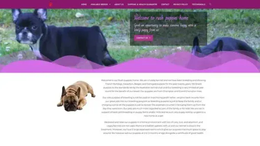 Screenshot of