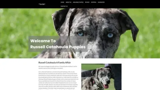 Screenshot of