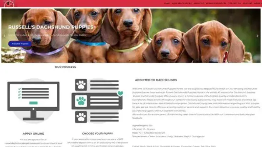 Screenshot of