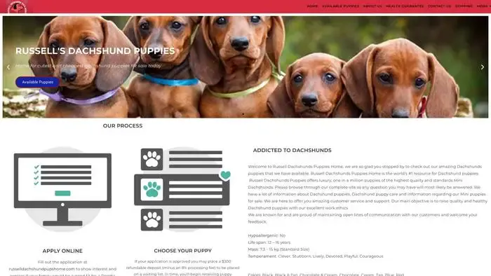 Screenshot of