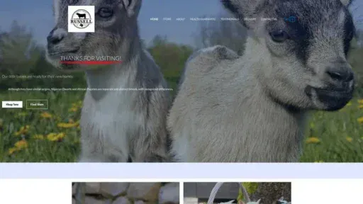 Screenshot of