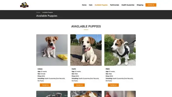 Screenshot of