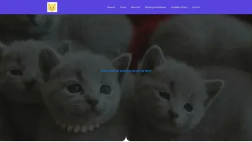 Screenshot of||