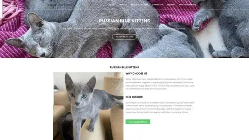 Screenshot of|