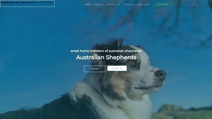 Screenshot of