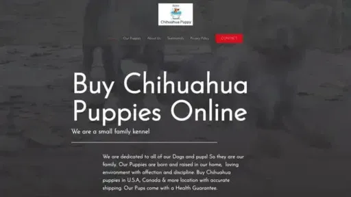 Screenshot of