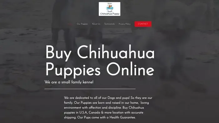 Screenshot of