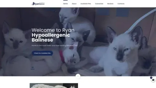 Screenshot of