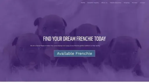 Screenshot of
