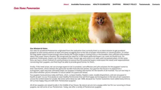 Screenshot of