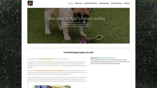 Screenshot of