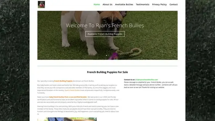 Screenshot of