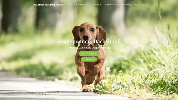 Screenshot of