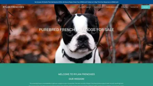 Screenshot of||