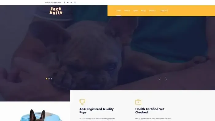 Screenshot of