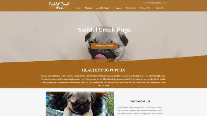 Screenshot of