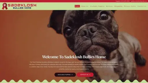 Screenshot of