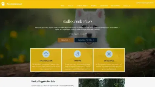 Screenshot of