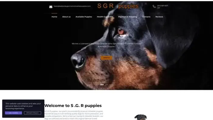 Screenshot of