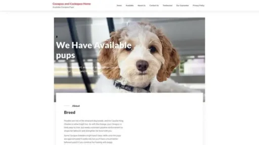 Screenshot of