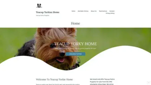 Screenshot of