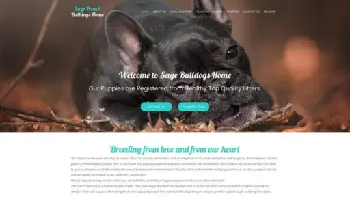 Screenshot of