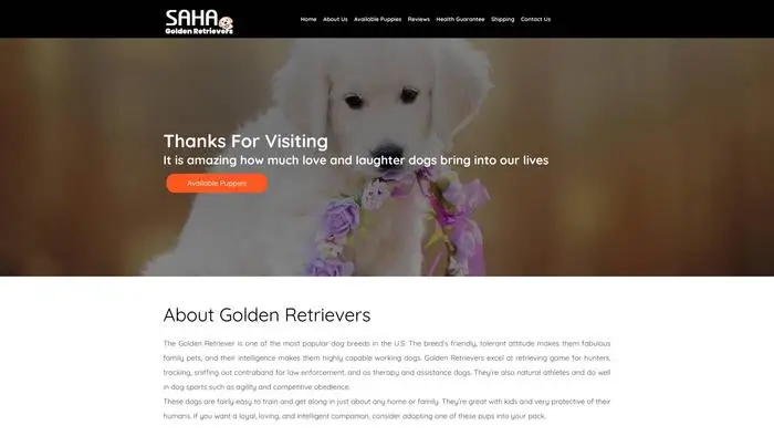 Screenshot of