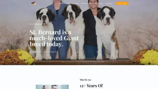 Screenshot of|