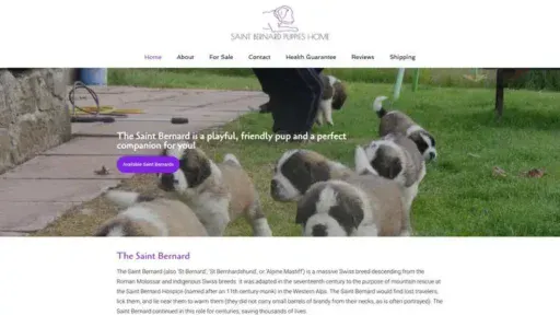 Screenshot of